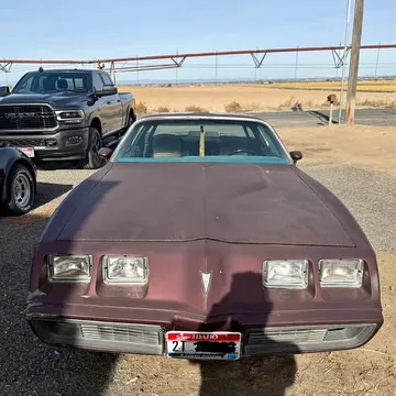 1981 Pontiac Trans Am