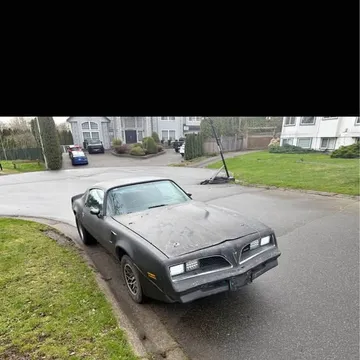 1981 Pontiac Trans Am