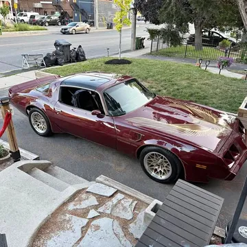 1981 Pontiac Trans Am