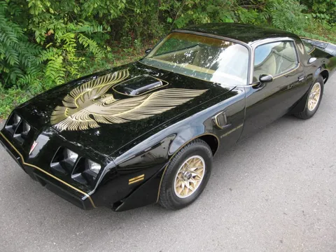 1981 Pontiac Trans Am