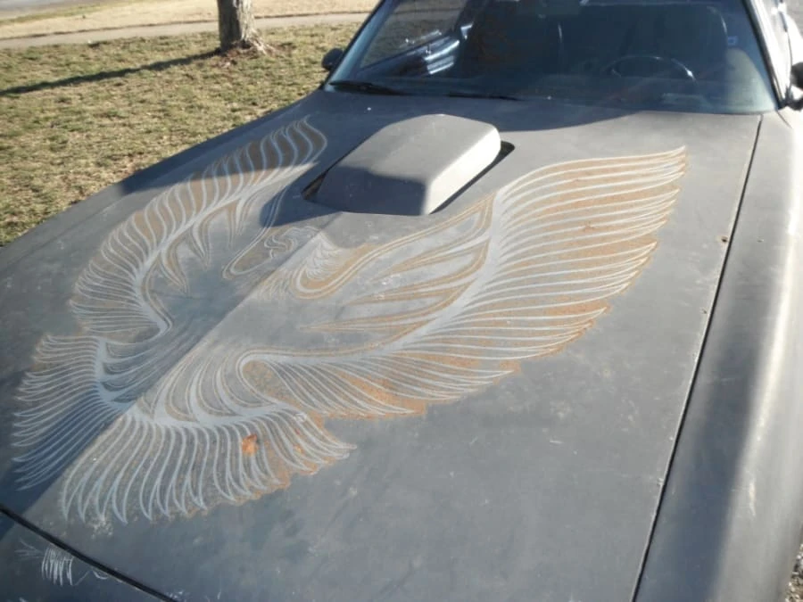 1981 Pontiac Firebird Trans Am 2nd Gen - Image 3 of 8