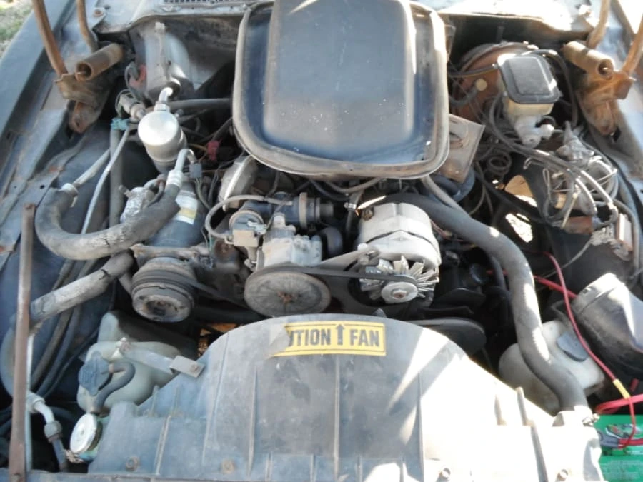 1981 Pontiac Firebird Trans Am 2nd Gen - Image 7 of 8