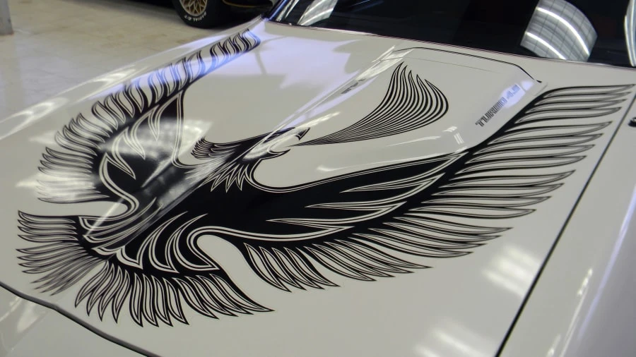 1981 Pontiac Firebird Trans Am 2nd Gen - Image 5 of 6