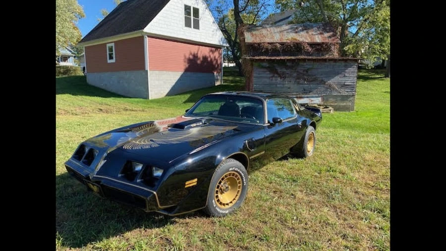1981 Pontiac Firebird Trans Am 2nd Gen - Image 6 of 10