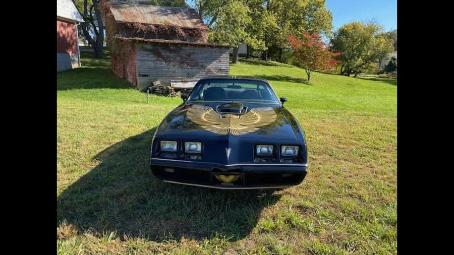 1981 Pontiac Firebird Trans Am 2nd Gen - Image 7 of 10