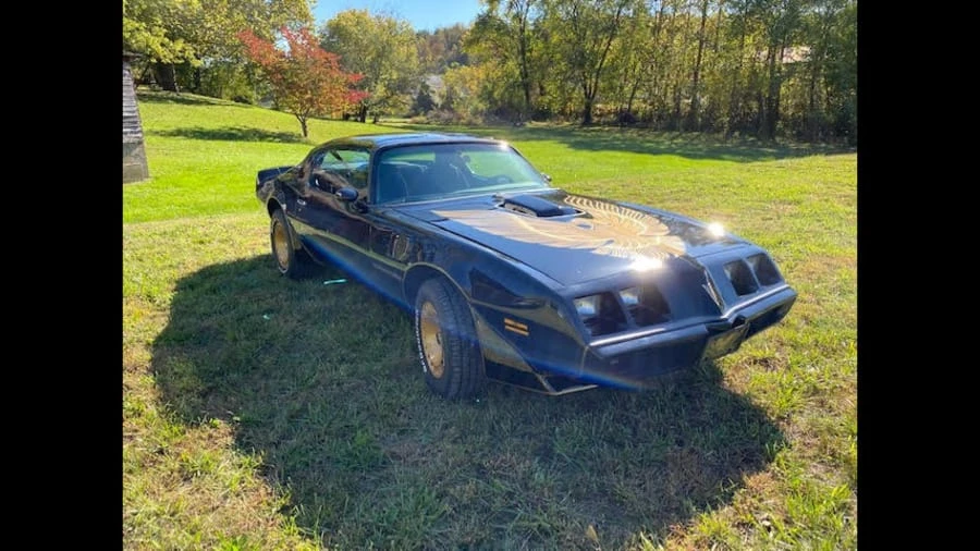 1981 Pontiac Firebird Trans Am 2nd Gen - Image 8 of 10