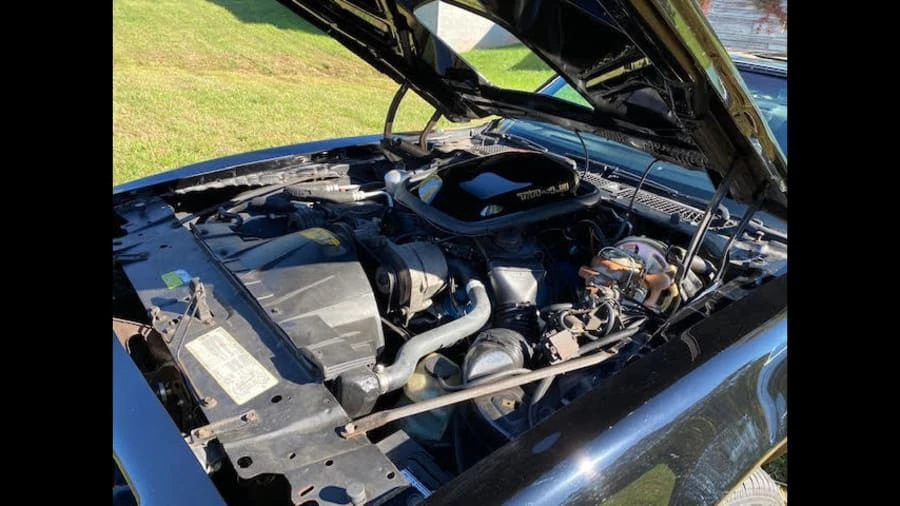 1981 Pontiac Firebird Trans Am 2nd Gen - Image 5 of 10