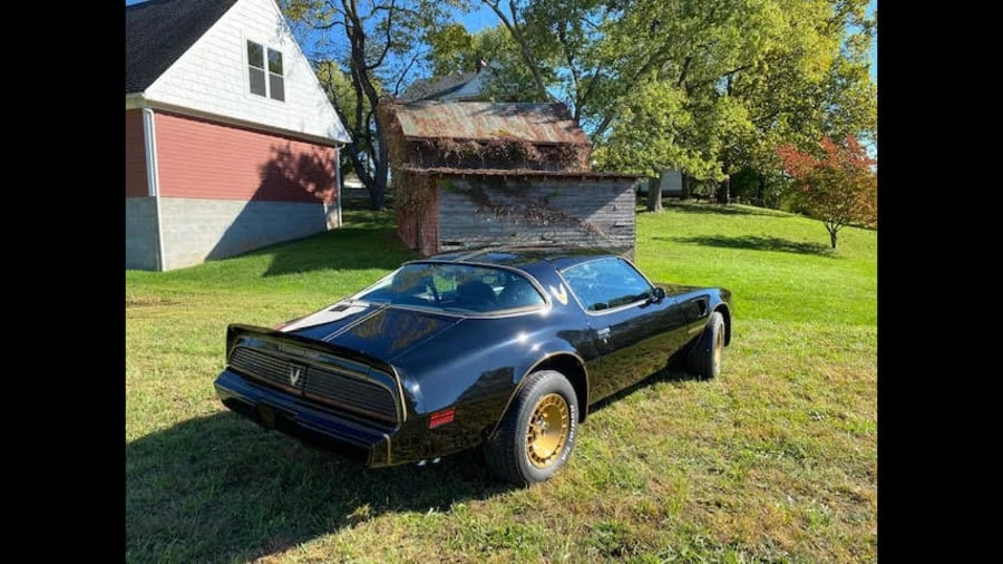 1981 Pontiac Firebird Trans Am 2nd Gen - Image 9 of 10