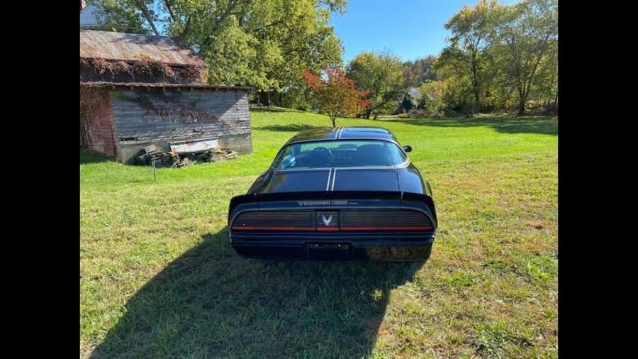 1981 Pontiac Firebird Trans Am 2nd Gen - Image 10 of 10