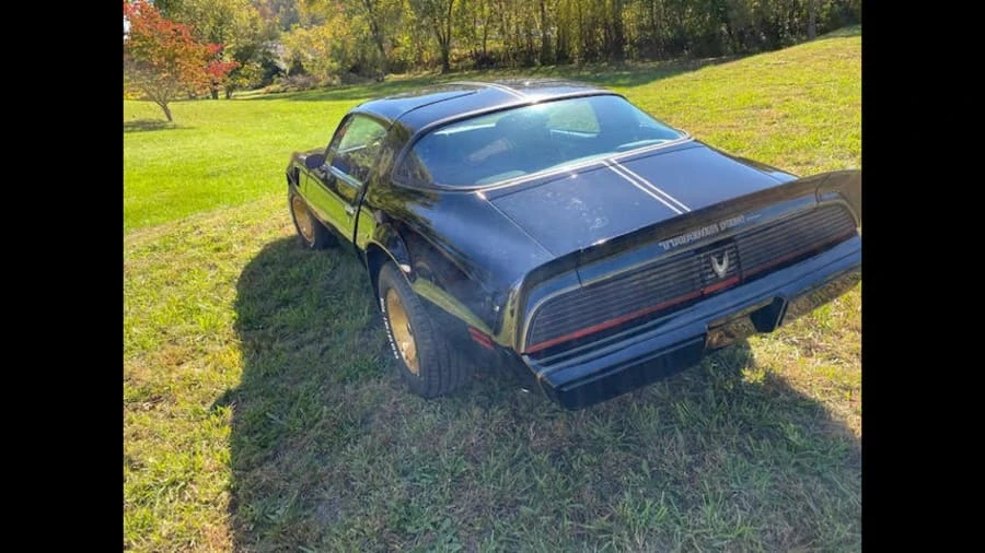 1981 Pontiac Firebird Trans Am 2nd Gen - Image 2 of 10