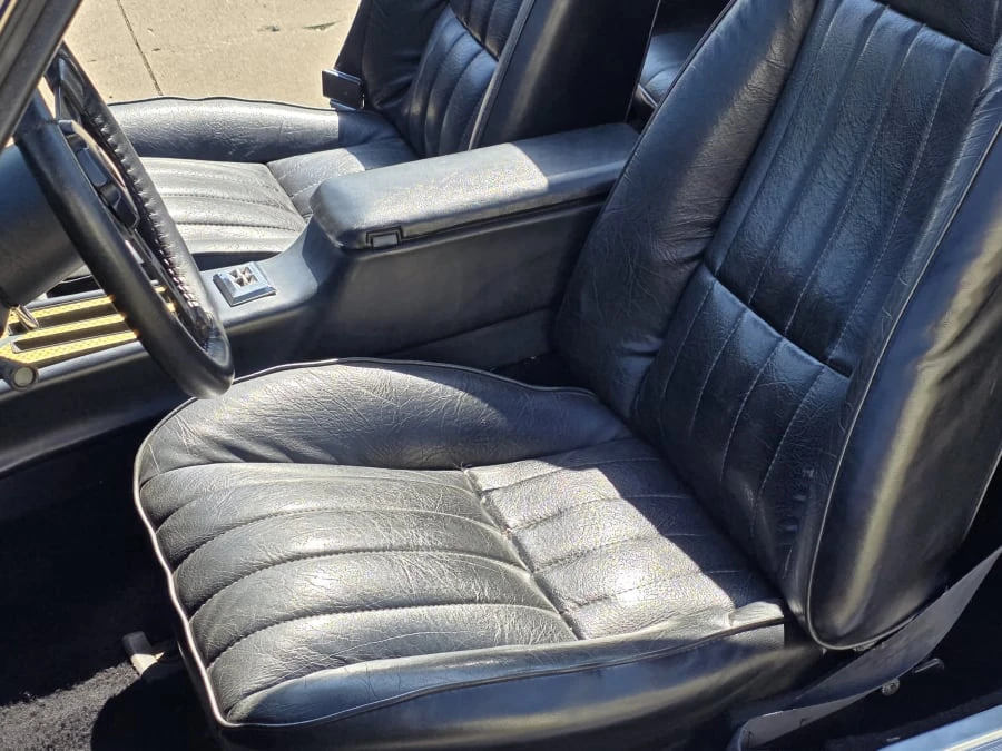 1981 Pontiac Firebird Trans Am 2nd Gen - Image 10 of 11