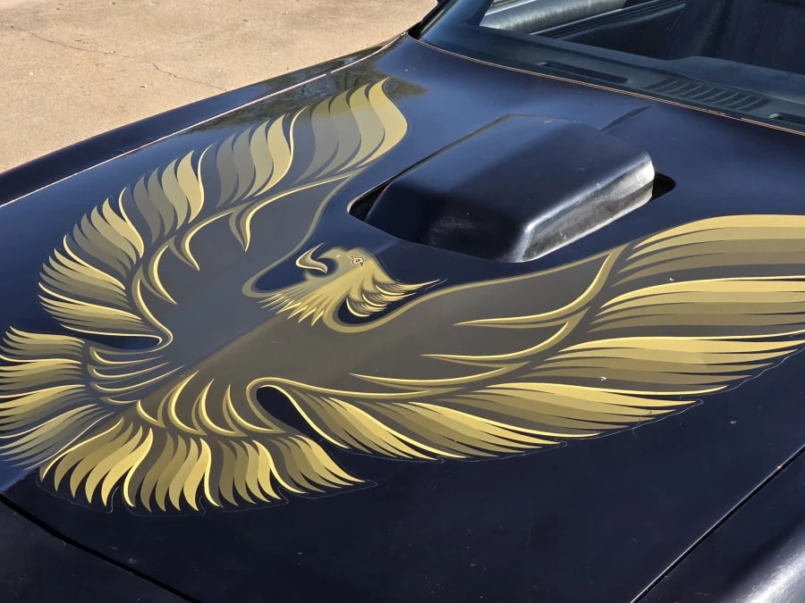 1981 Pontiac Firebird Trans Am 2nd Gen - Image 4 of 11