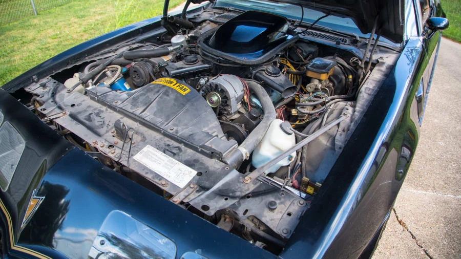 1981 Pontiac Firebird Trans Am 2nd Gen - Image 6 of 12