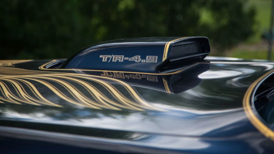 1981 Pontiac Firebird Trans Am 2nd Gen - Image 8 of 12