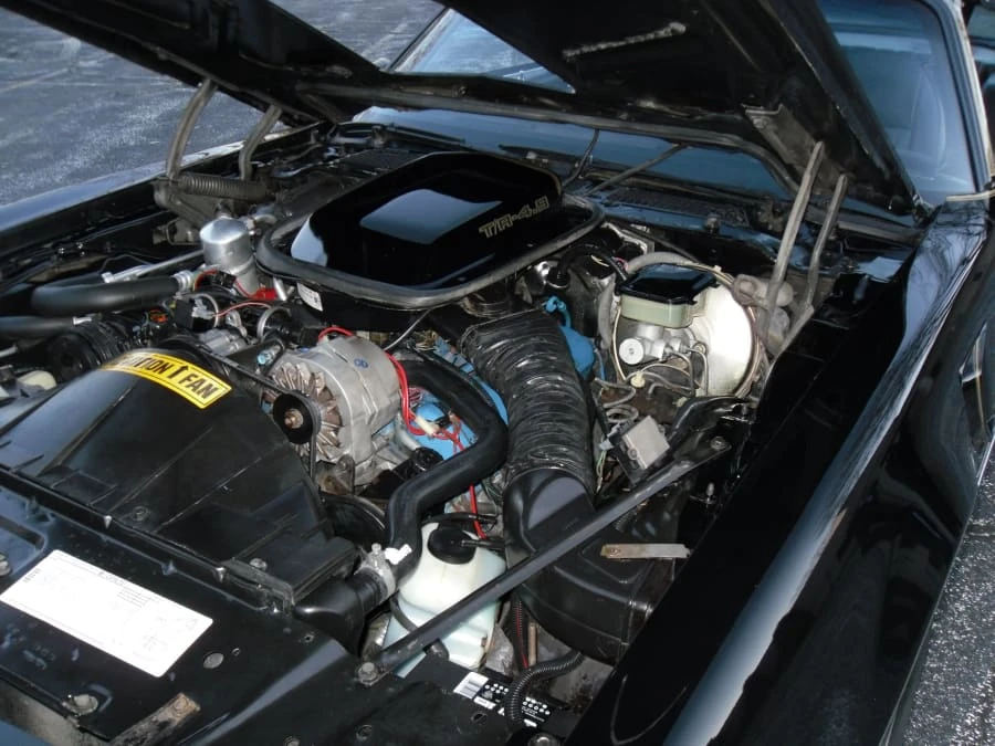 1981 Pontiac Firebird Trans Am 2nd Gen - Image 4 of 6