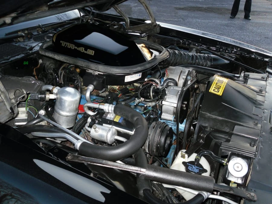 1981 Pontiac Firebird Trans Am 2nd Gen - Image 5 of 6
