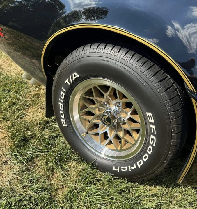 1981 Pontiac Firebird Trans Am 2nd Gen - Image 8 of 13