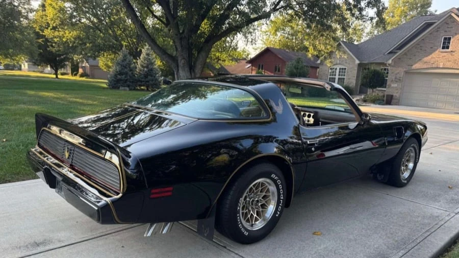 1981 Pontiac Firebird Trans Am 2nd Gen - Image 3 of 13