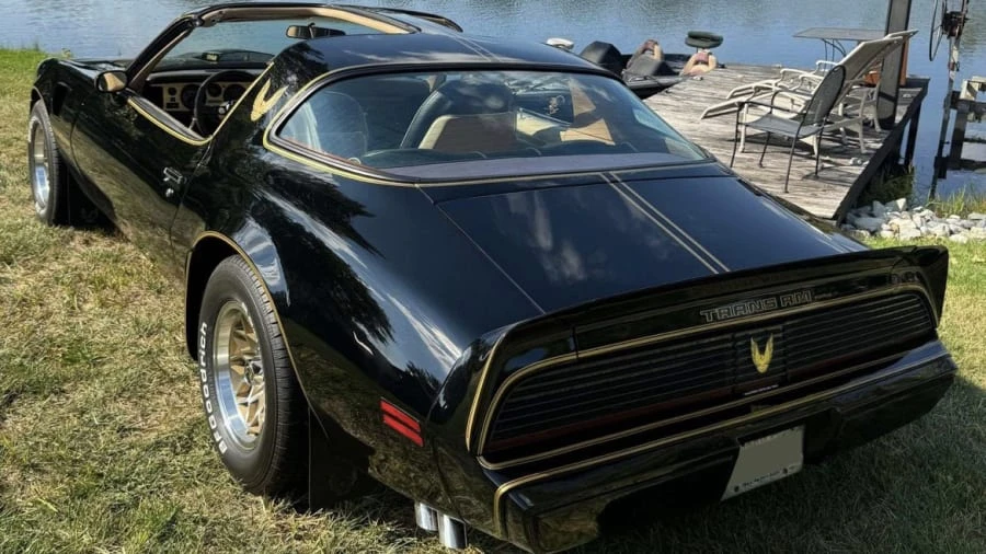 1981 Pontiac Firebird Trans Am 2nd Gen - Image 7 of 13