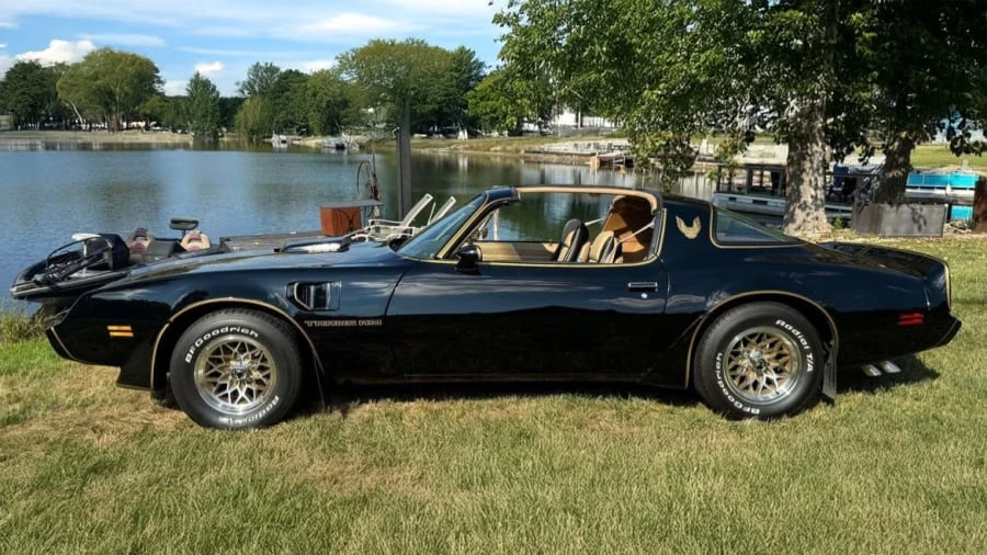 1981 Pontiac Firebird Trans Am 2nd Gen - Image 2 of 13
