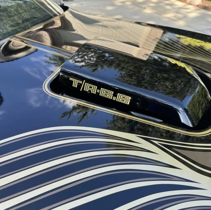 1981 Pontiac Firebird Trans Am 2nd Gen - Image 9 of 13