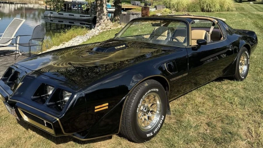 1981 Pontiac Firebird Trans Am 2nd Gen - Image 6 of 13