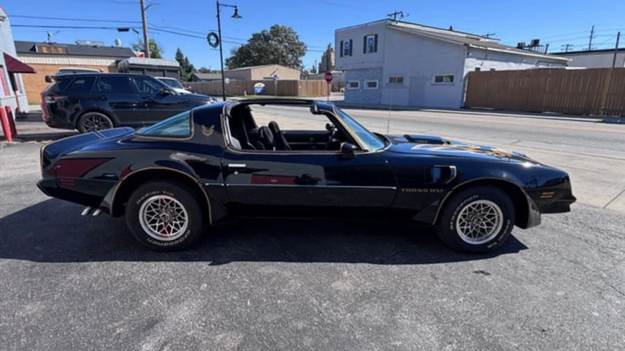 1981 Pontiac Firebird Trans Am 2nd Gen - Image 9 of 21