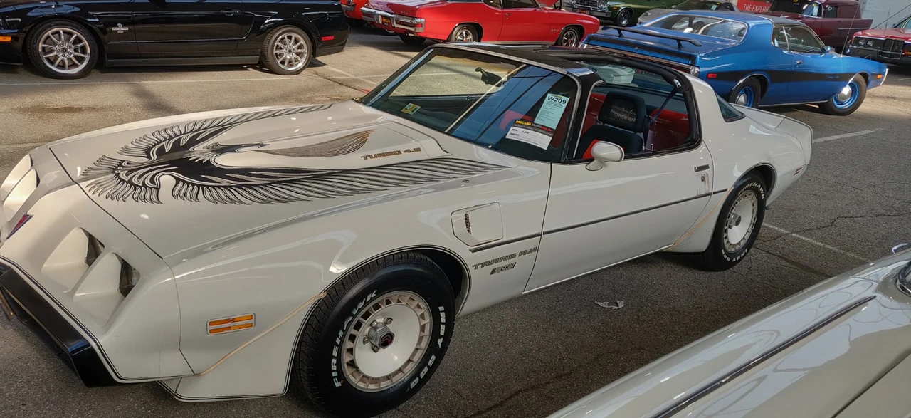 1981 Pontiac Firebird Trans Am 2nd Gen - Image 13 of 31