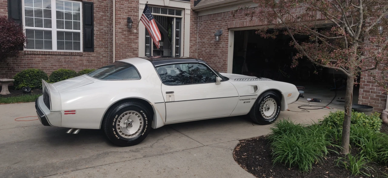 1981 Pontiac Firebird Trans Am 2nd Gen - Image 2 of 31