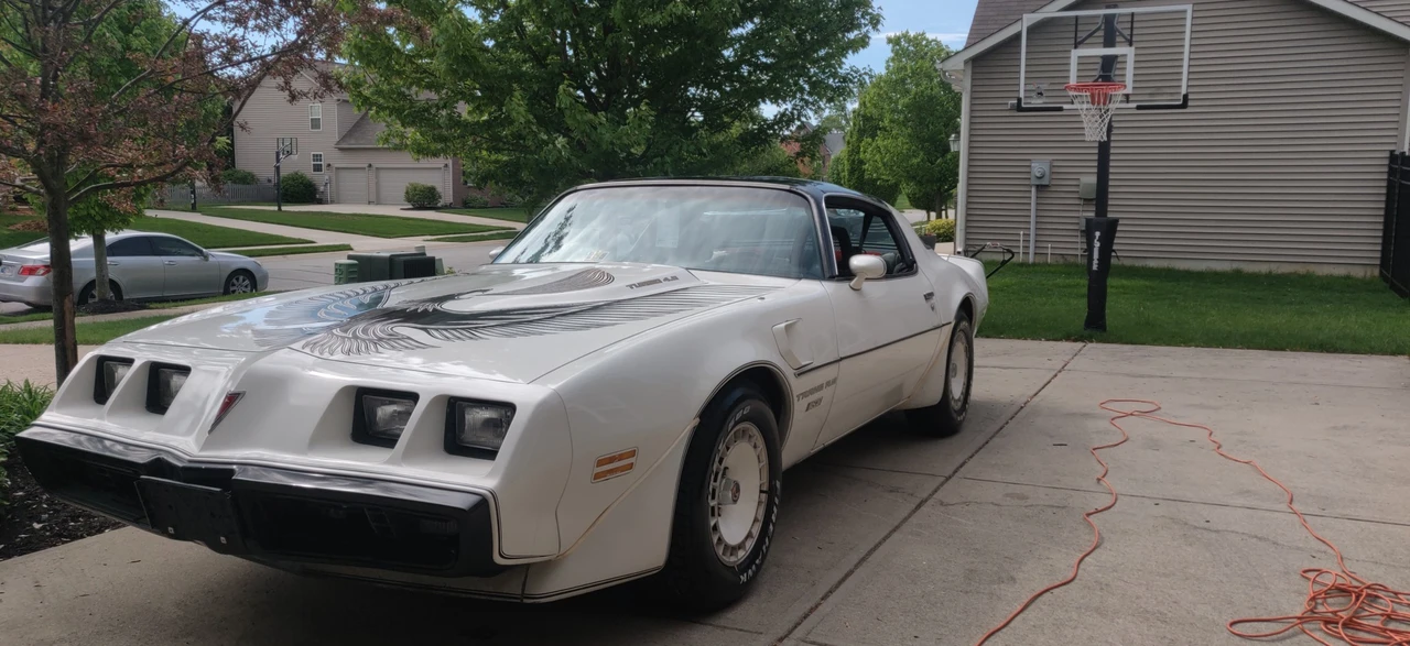 1981 Pontiac Firebird Trans Am 2nd Gen - Image 10 of 31
