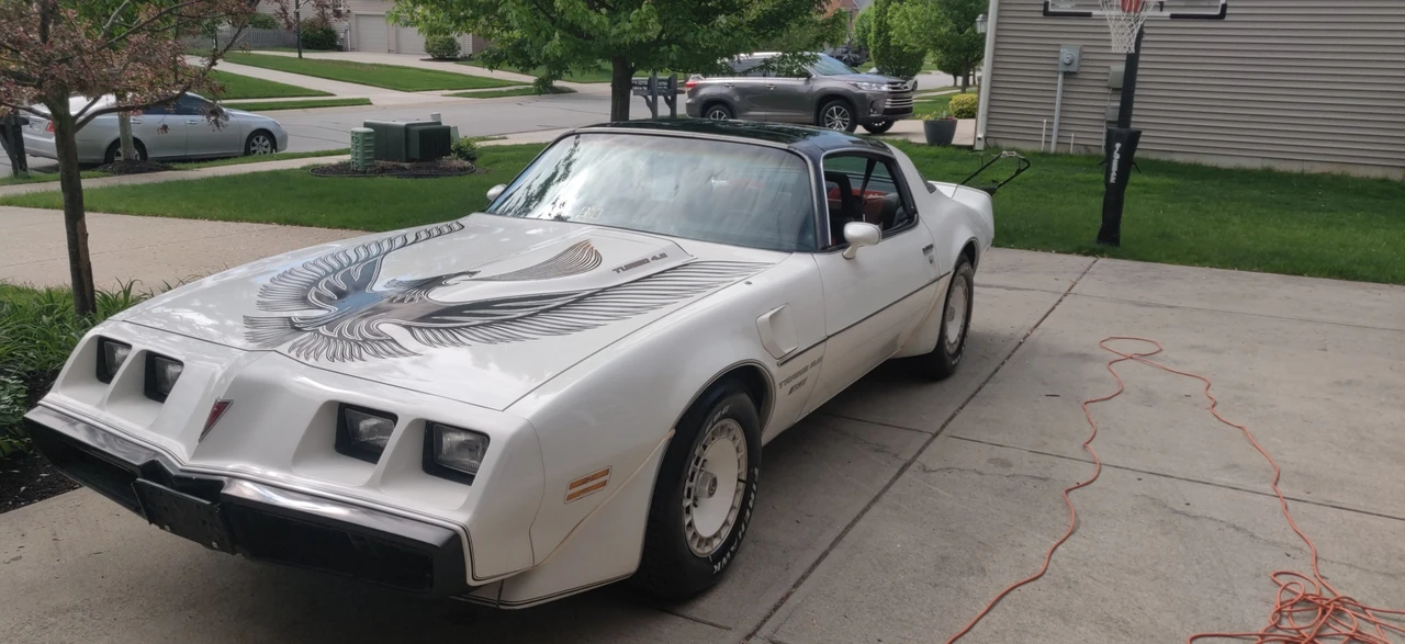 1981 Pontiac Firebird Trans Am 2nd Gen - Image 11 of 31
