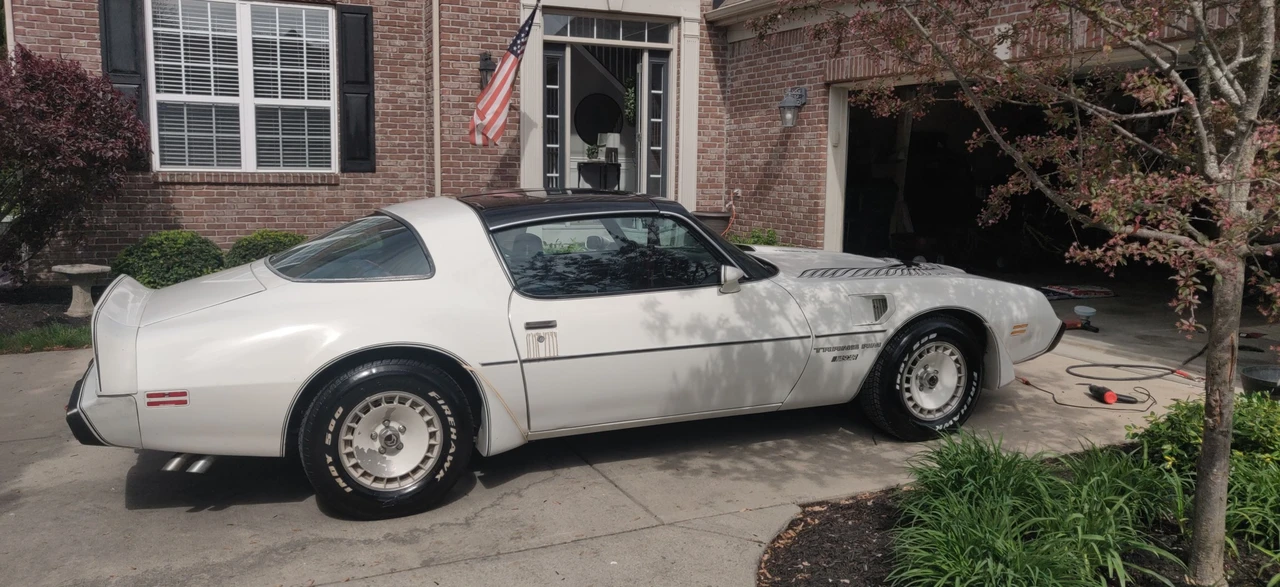 1981 Pontiac Firebird Trans Am 2nd Gen - Image 3 of 31