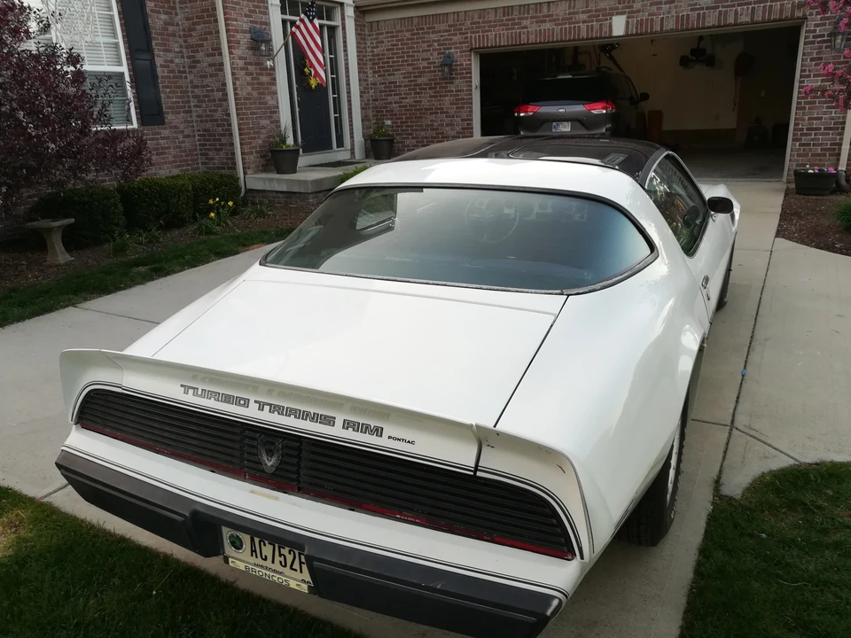 1981 Pontiac Firebird Trans Am 2nd Gen - Image 21 of 31