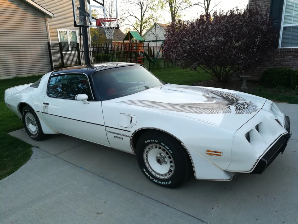 1981 Pontiac Firebird Trans Am 2nd Gen - Image 5 of 31