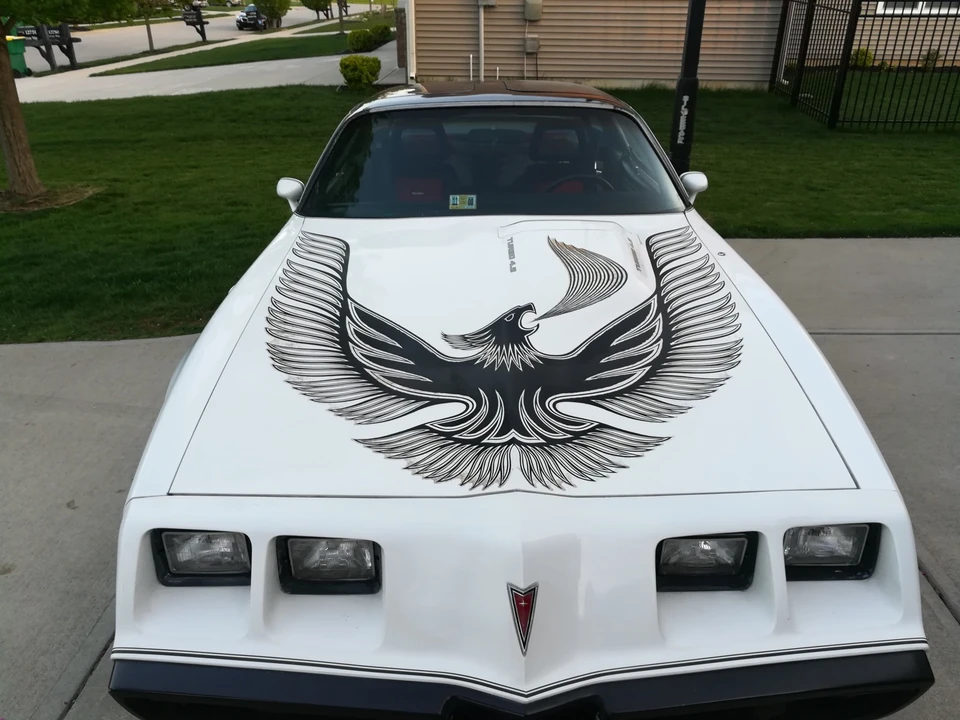 1981 Pontiac Firebird Trans Am 2nd Gen - Image 30 of 31