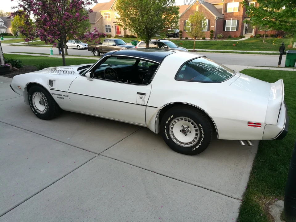 1981 Pontiac Firebird Trans Am 2nd Gen - Image 14 of 31