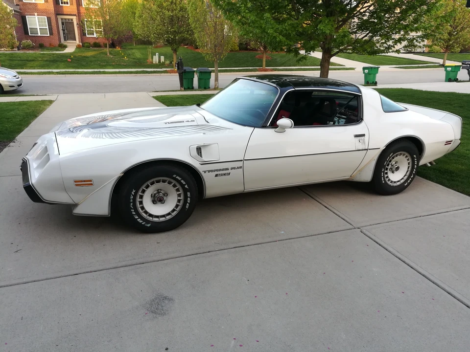 1981 Pontiac Firebird Trans Am 2nd Gen - Image 12 of 31