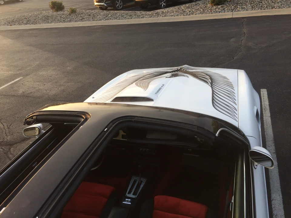 1981 Pontiac Firebird Trans Am 2nd Gen - Image 25 of 31