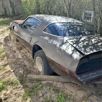 1981 Pontiac Trans Am Turbo