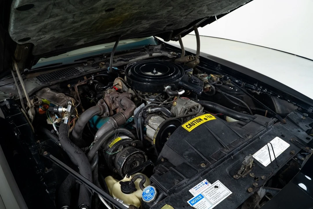1981 Pontiac Firebird Trans Am 2nd Gen - Image 3 of 21