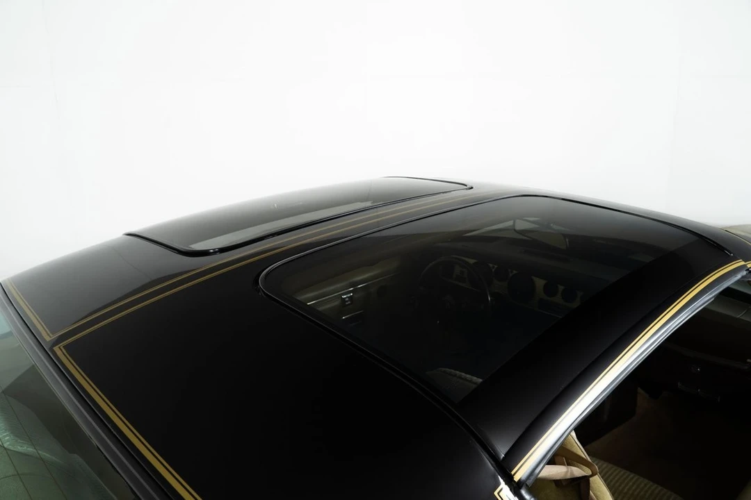 1981 Pontiac Firebird Trans Am 2nd Gen - Image 15 of 21