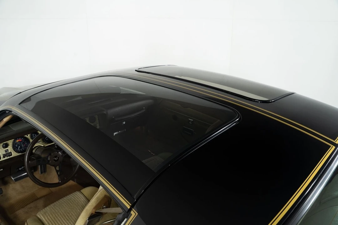 1981 Pontiac Firebird Trans Am 2nd Gen - Image 11 of 21