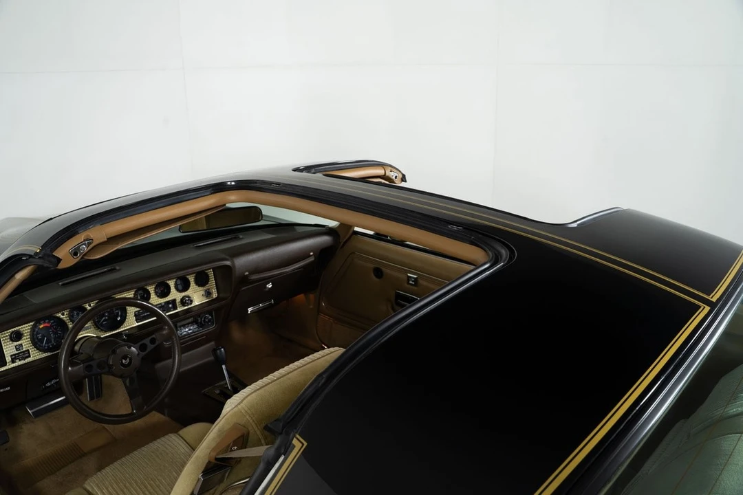 1981 Pontiac Firebird Trans Am 2nd Gen - Image 10 of 21