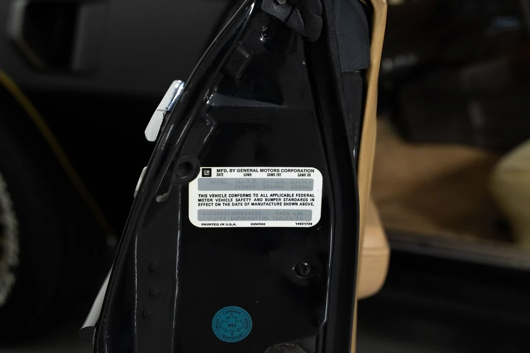 1981 Pontiac Firebird Trans Am 2nd Gen - Image 20 of 21