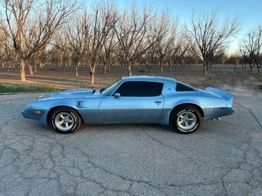 1981 Pontiac Firebird Trans Am 2nd Gen - Image 2 of 15