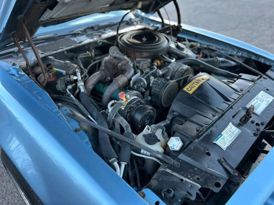 1981 Pontiac Firebird Trans Am 2nd Gen - Image 15 of 15