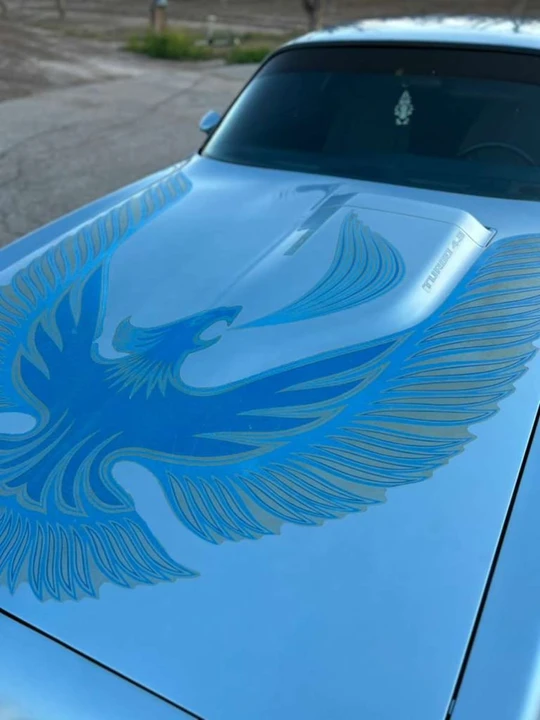 1981 Pontiac Firebird Trans Am 2nd Gen - Image 5 of 15