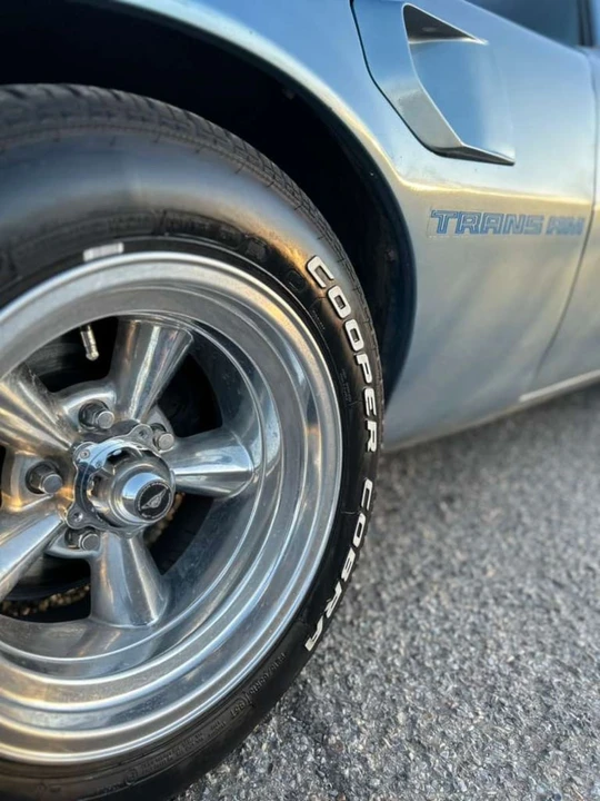 1981 Pontiac Firebird Trans Am 2nd Gen - Image 6 of 15