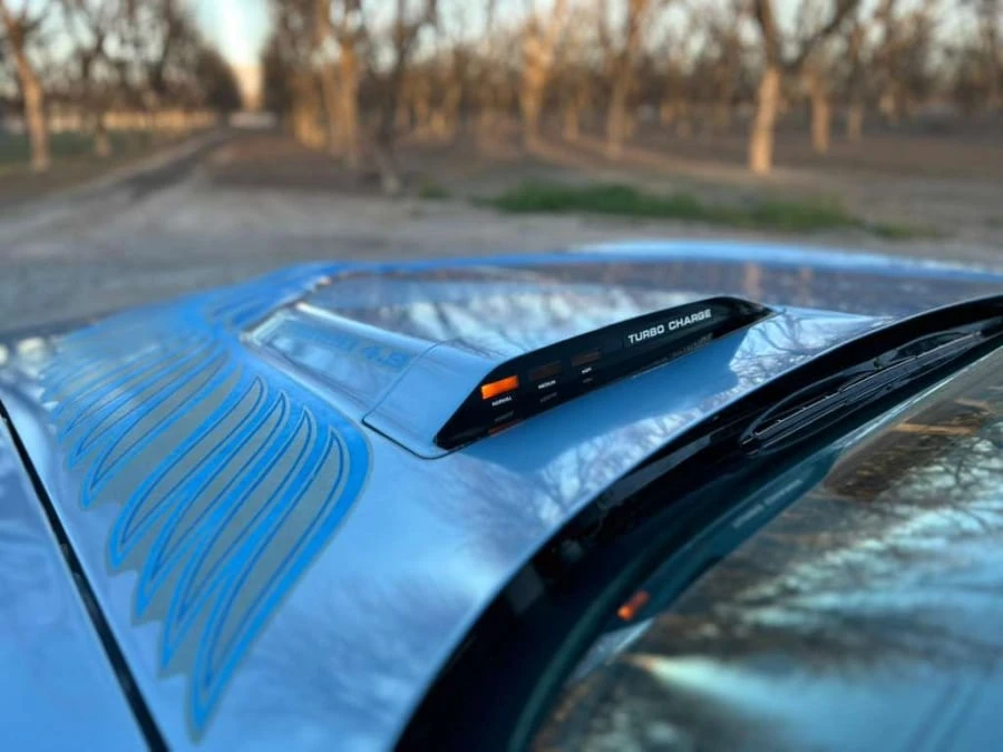 1981 Pontiac Firebird Trans Am 2nd Gen - Image 4 of 15