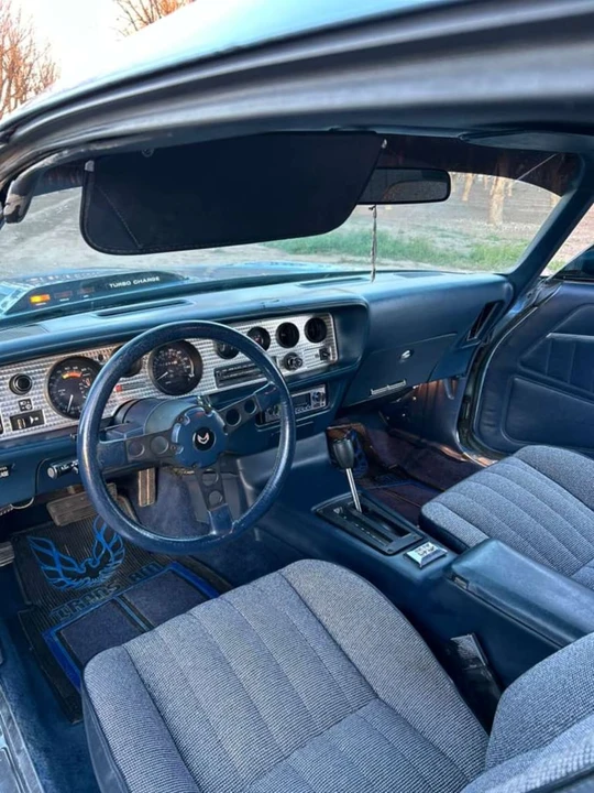 1981 Pontiac Firebird Trans Am 2nd Gen - Image 8 of 15